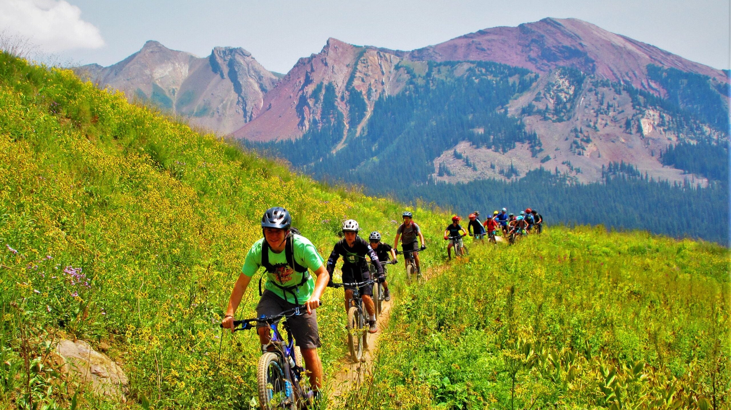 Local Nonprofit Love: SMBA