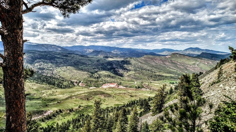 I bought a mountain bike! What are the best trails to ride as I learn?
