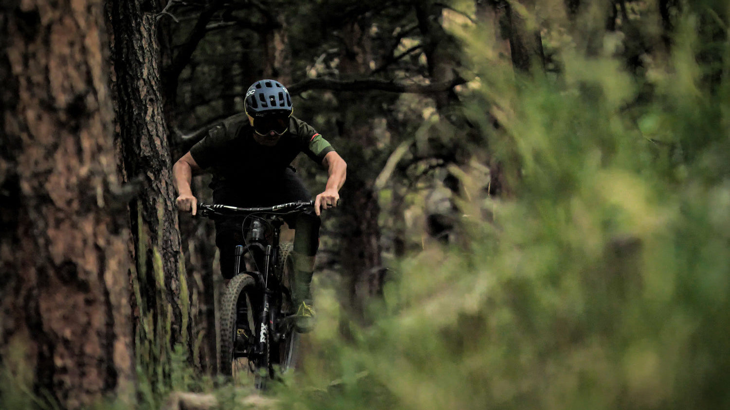 Sight Unseen Q&A with Brice Shirbach