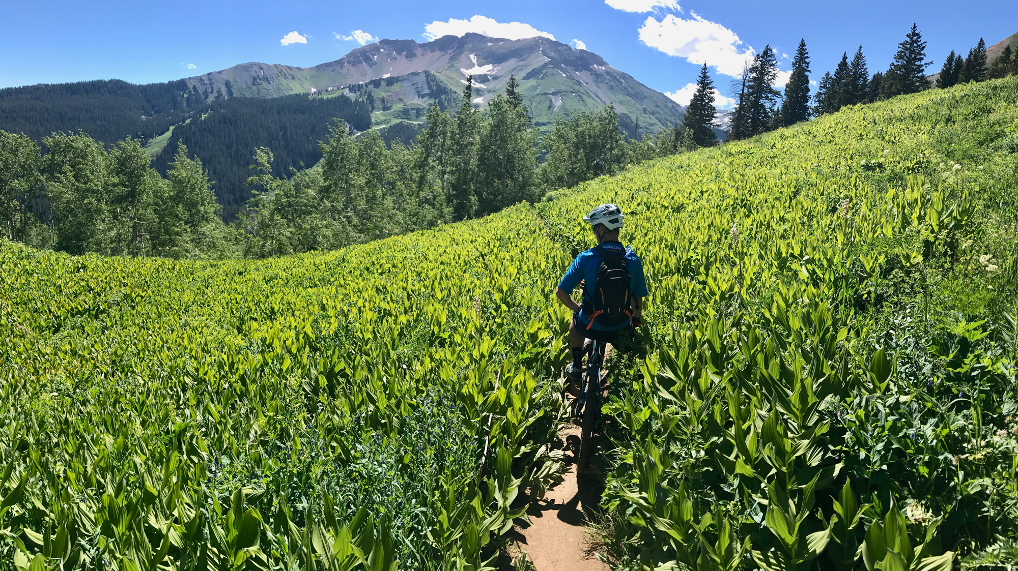 48 Hours in Crested Butte