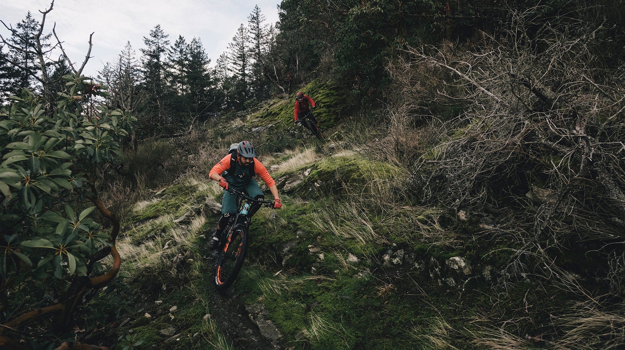 A Survey of E-MTB Sentiments