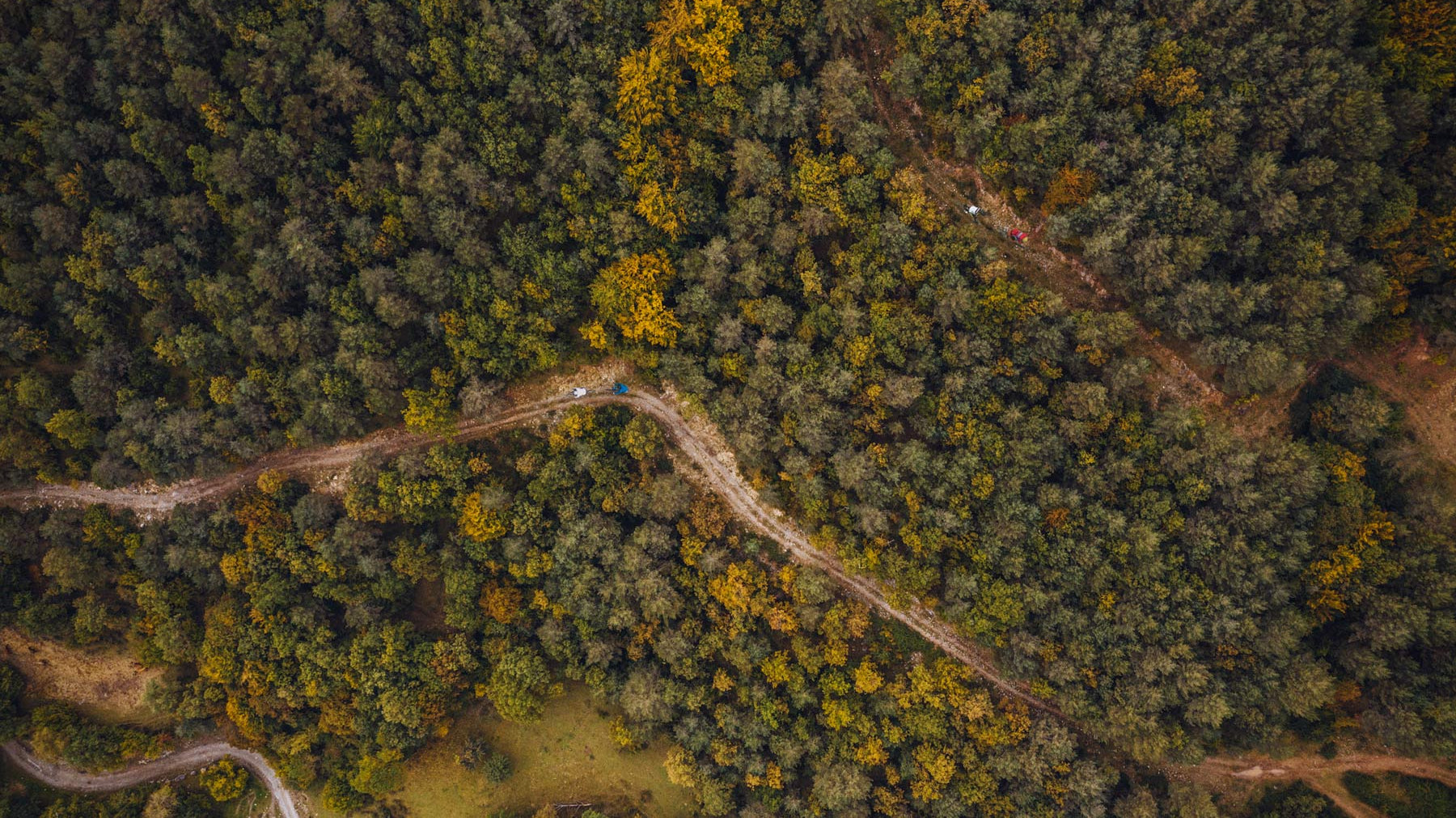 Land-first…or Land fill?