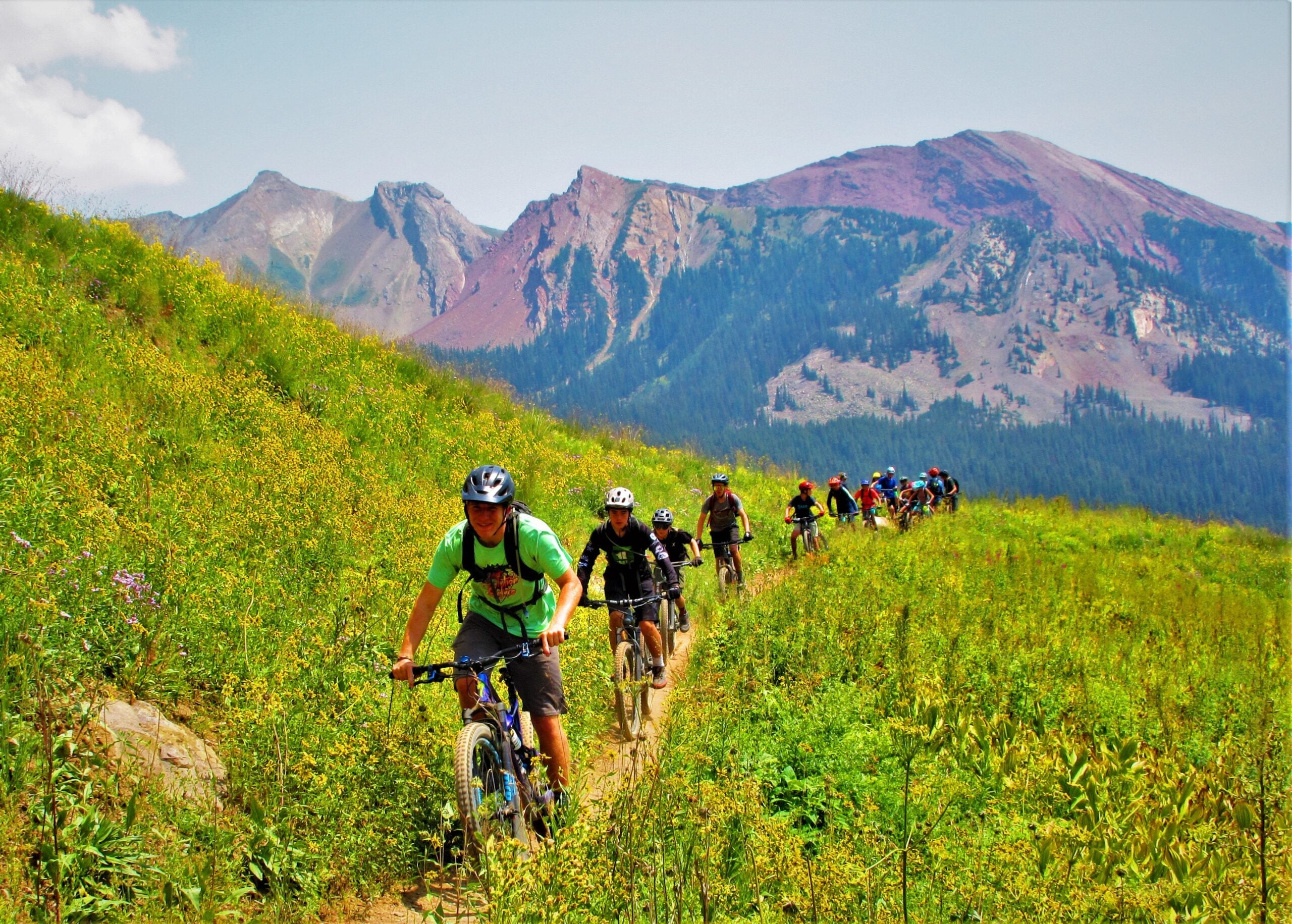 Local Nonprofit Love: SMBA