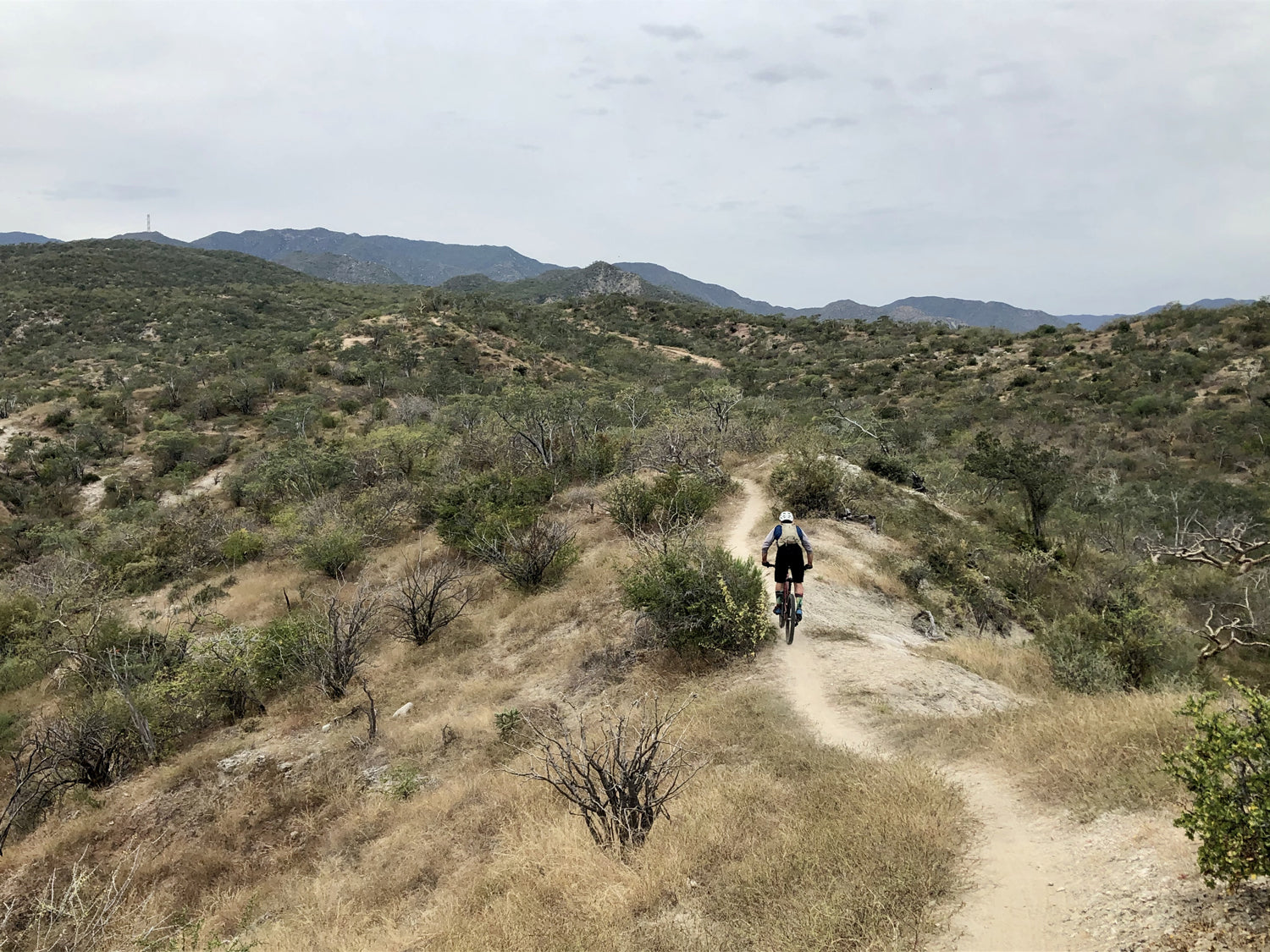 Baja California Sur - What Outside Missed