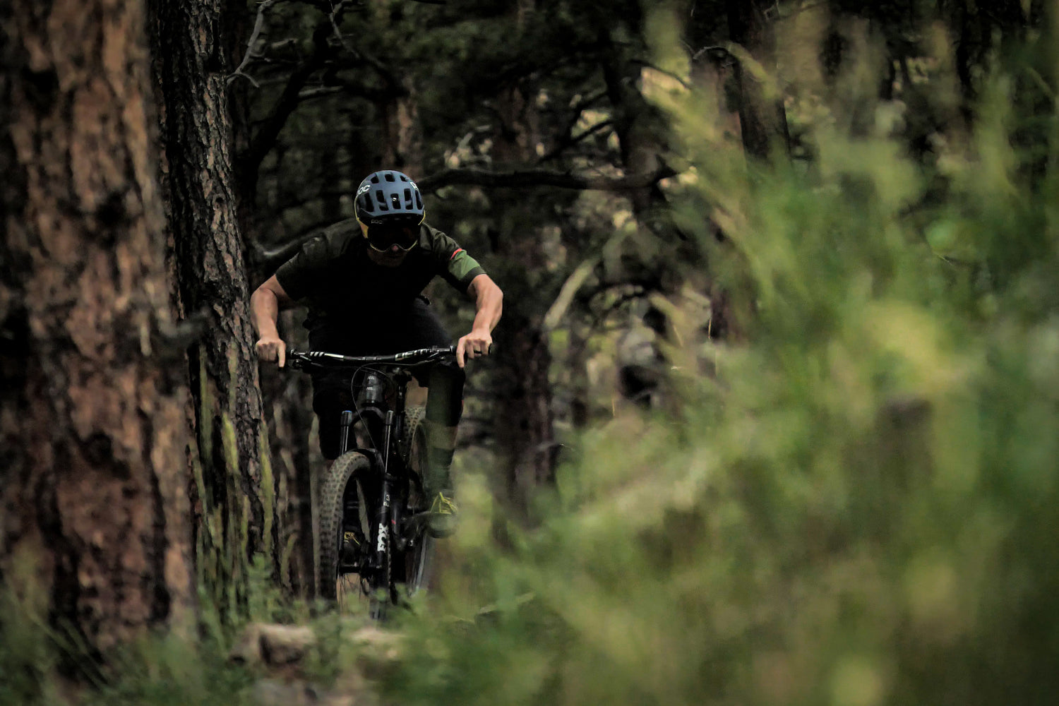 Sight Unseen Q&A with Brice Shirbach