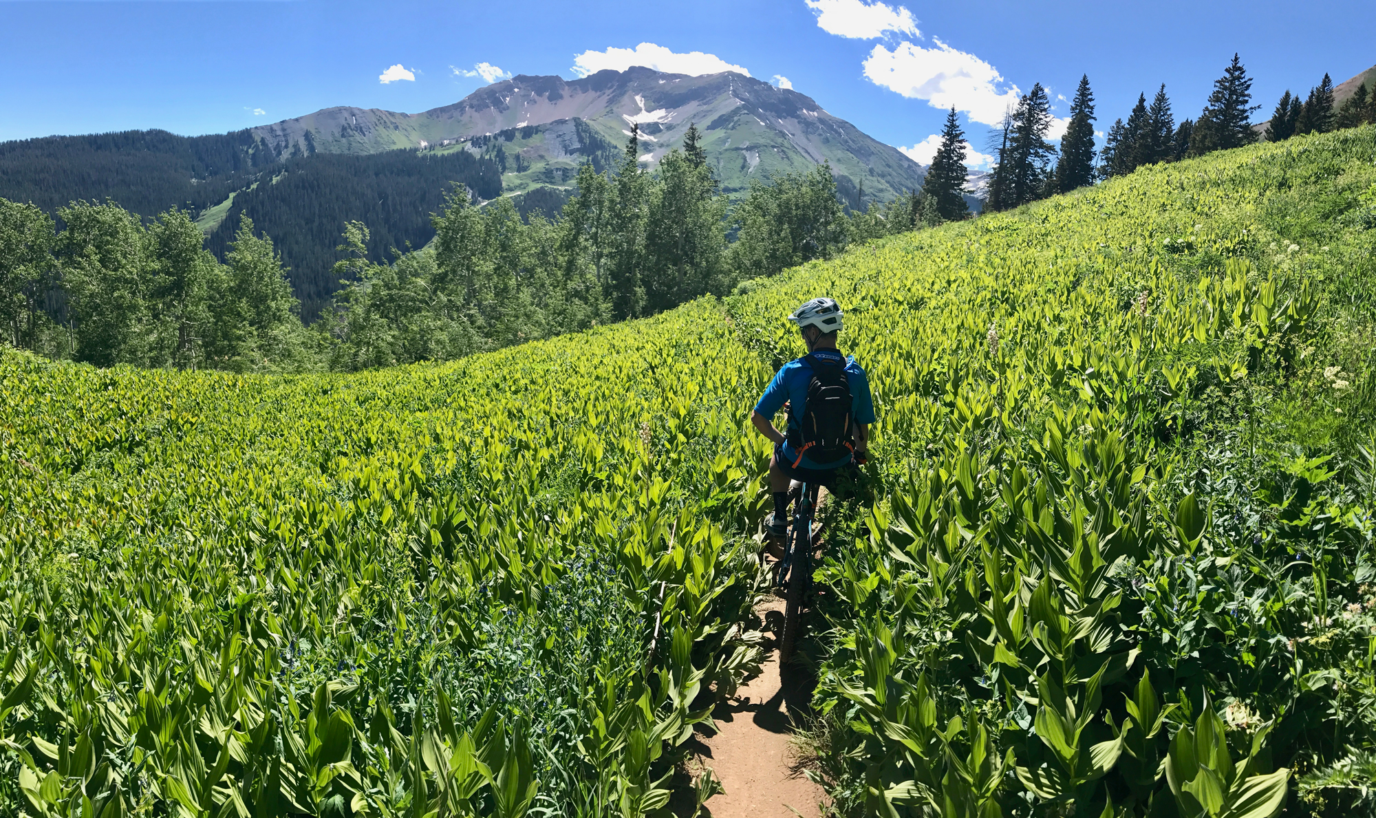 48 Hours in Crested Butte