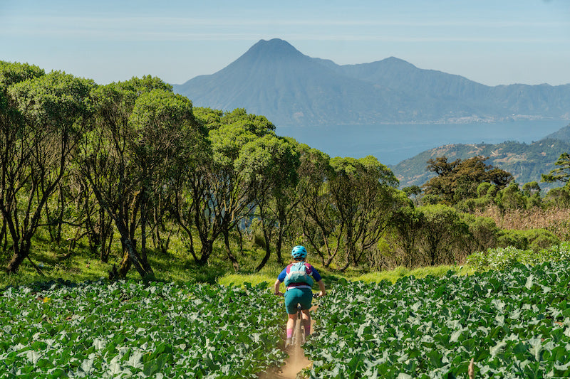 Changing the World by Bike