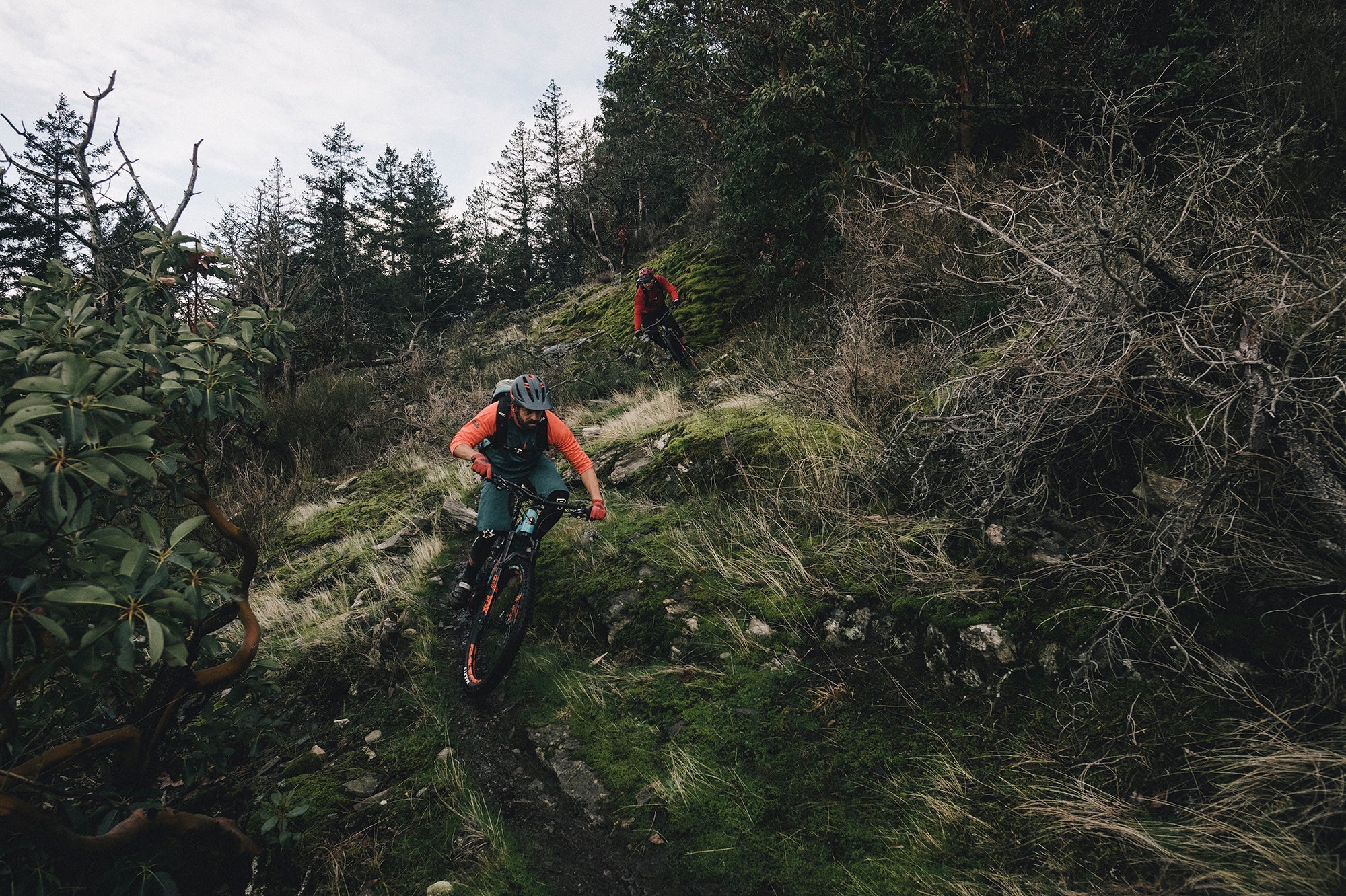 A Survey of E-MTB Sentiments